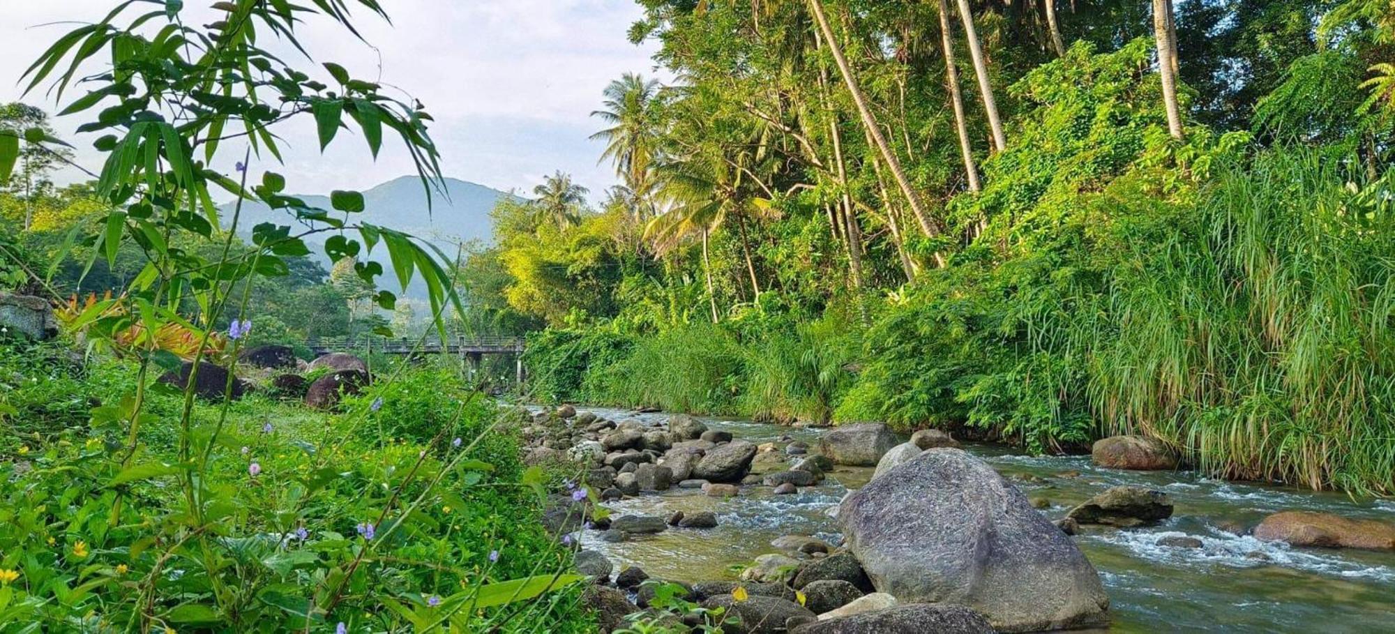 The Creek Haus Bed and Breakfast Lan Saka Buitenkant foto